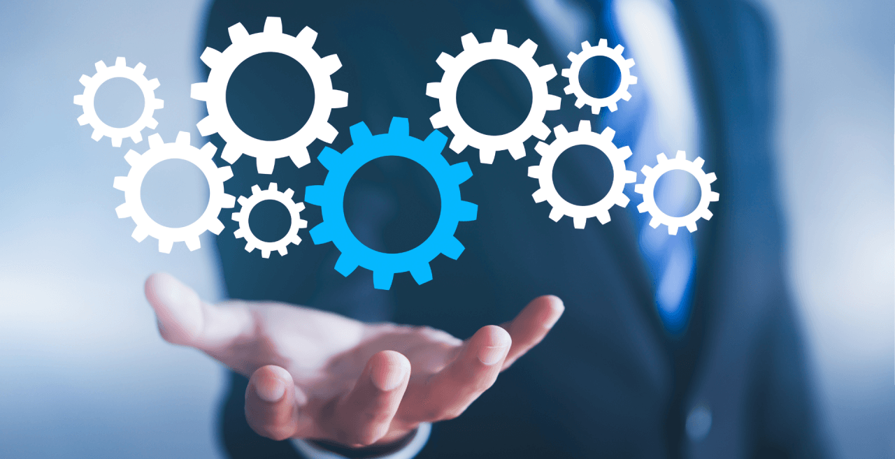 Sales Maximization StrategyTransformation Solution